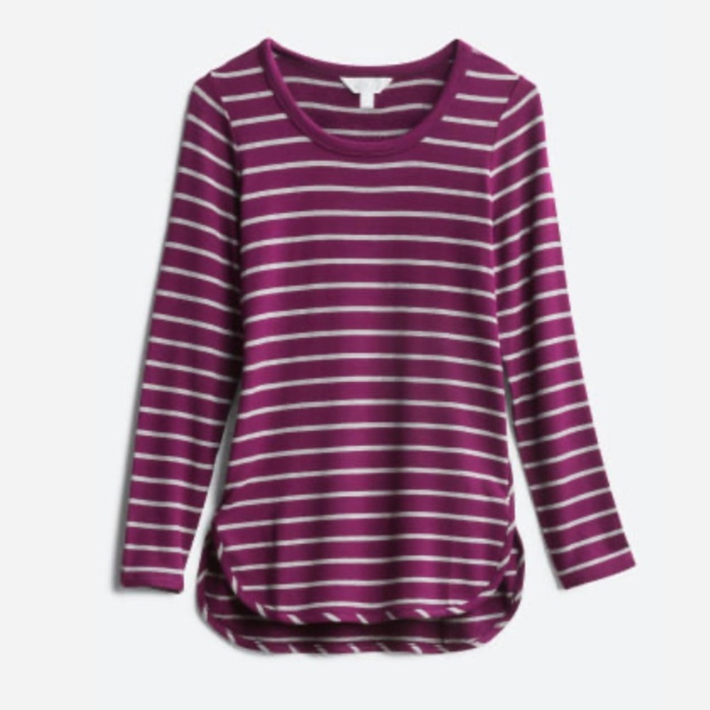 Market & Spruce - Stitch Fix
Zansia Curved Hem French Terry Knit Top